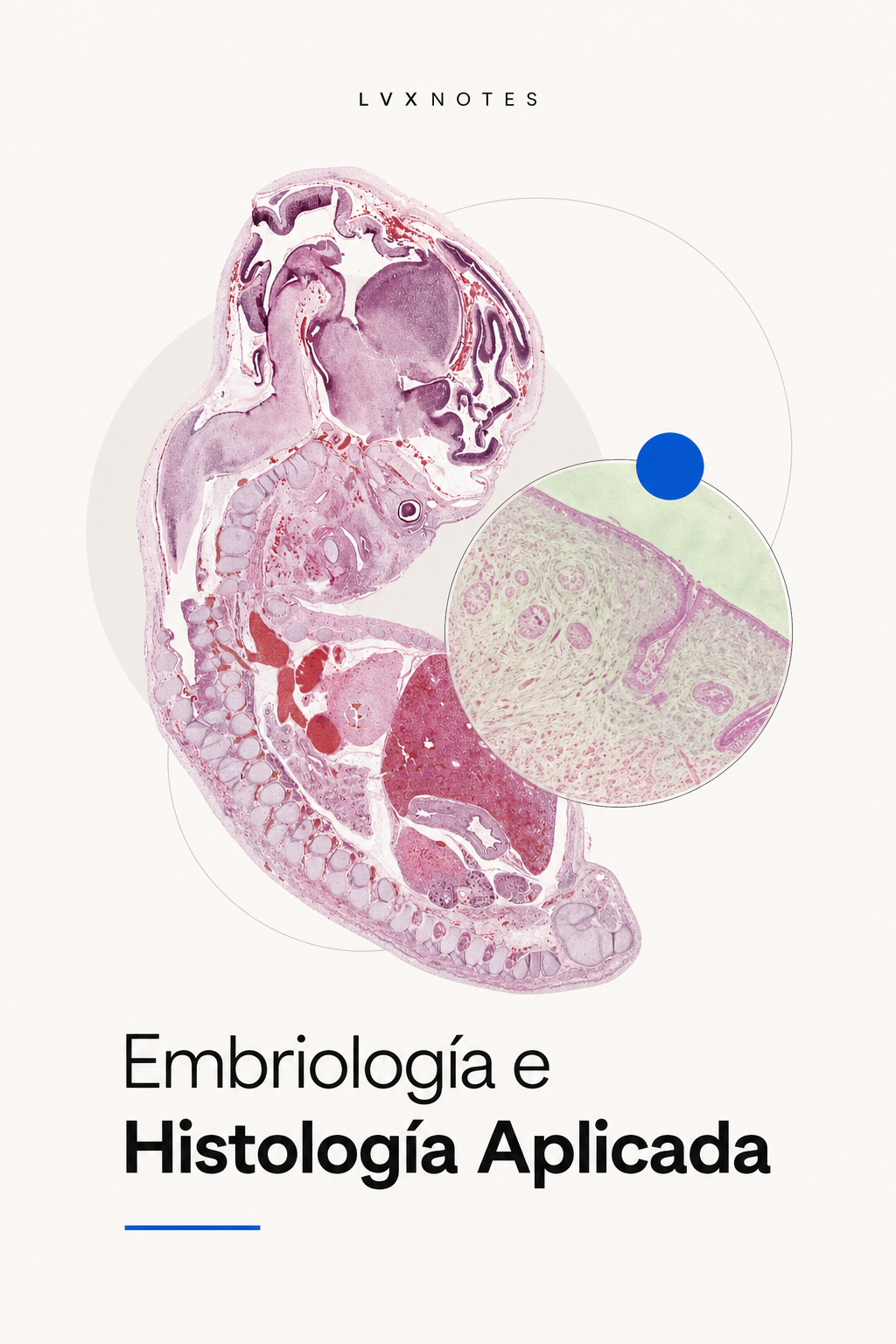 Portada de Embriologia e Histologia aplicada